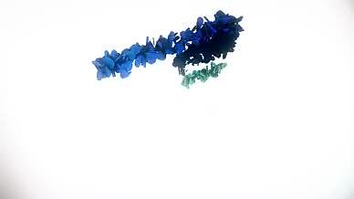 蓝花形成心型透明通道视频的预览图